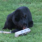 IMG_0182.JPG