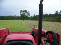 4-27-13 Hay Patch Looking Towards Neighbor's Pond.jpg