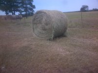 IMG-20130629-00397.jpg