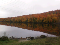 ForumRunner_20130430_055127.png