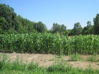 IMG_0012.jpg