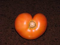 A-Heart.jpg