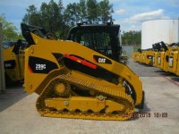 Cat 299.jpg