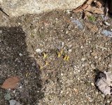 IMG_0433.jpeg