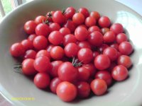 IMAG0837.JPG