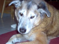 12-25-2011 022.JPG