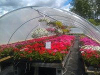 greenhouse2.jpg