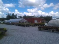 greenhouse4.jpg