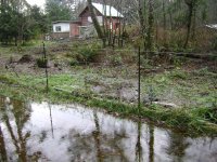 More dirt added 4.jpg