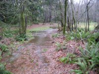 Pond discharge 2.jpg