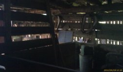 IMAG0406.jpg