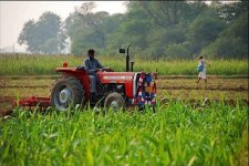 A-tractor-in-the-fields-and-a-man-throwing-seeds-Photos-of-pakistani-villages.jpg