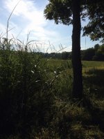 IMG_5610.jpg