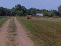 IMG-20130831-00399.jpg