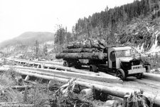 old_logger_on_plank_road.jpg