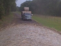 hauling%20from%20DF.jpg