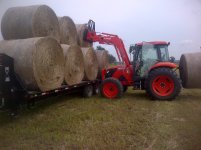 loading%20hay.jpg