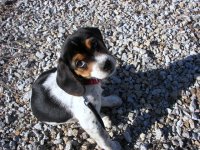 summer2008 037.JPG