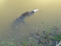 IMG_2885.JPG