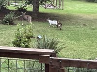 IMG_6001.jpeg