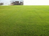 8630 Grass.jpg