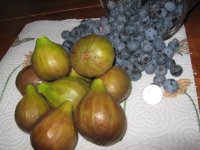 IMG_0922.JPG