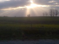 IMG-20130317-00212.jpg