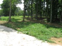 IMG_0229 (Medium).JPG