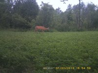PICT0004.jpg