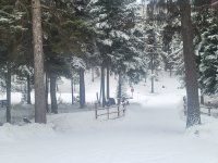 Springtime 3.22.2025.jpg