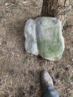 IMG_5743.jpeg