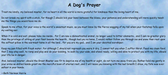 A dogs prayer.PNG