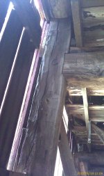 IMAG0403.jpg