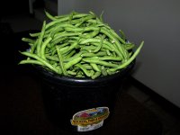 Bucket-o-Beans.jpg