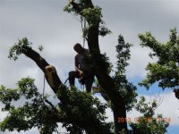DSCN6288.jpg