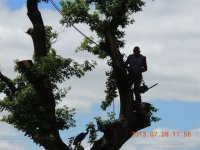 DSCN6298.jpg