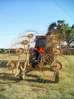 August 09 013.jpg