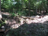 IMG_0075.jpg
