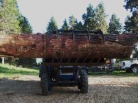 firewood load 2 2013 008.jpg