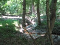 IMG_0076.jpg