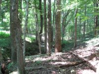 IMG_0142.jpg