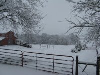 Xmas_2010 039.jpg
