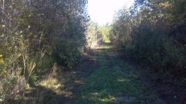 seppi trail before.jpg