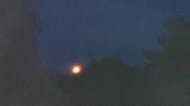 IMG_20130821_203352_248.jpg