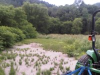 IMG-20130707-00123.jpg