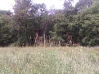IMG-20130707-00128.jpg