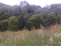 IMG-20130707-00130.jpg