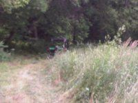 IMG-20130707-00137.jpg