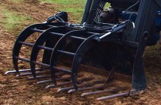 Salaras field -pine needle removal 009.JPG
