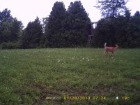 PICT0003.jpg